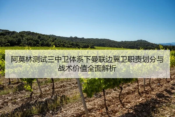 阿莫林测试三中卫体系下曼联边翼卫职责划分与战术价值全面解析